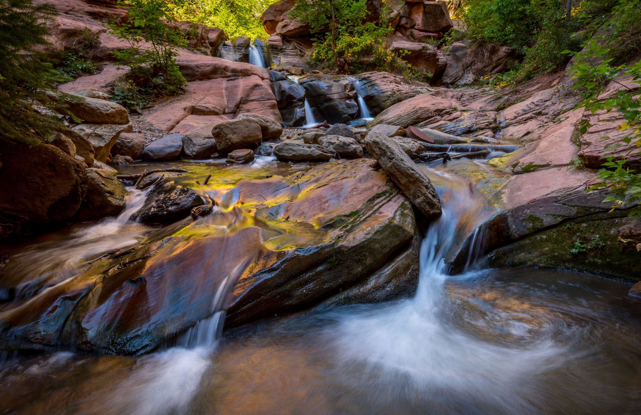 Deserts; Utah; Canyons; Narrows; Slots; Streams; Adventure