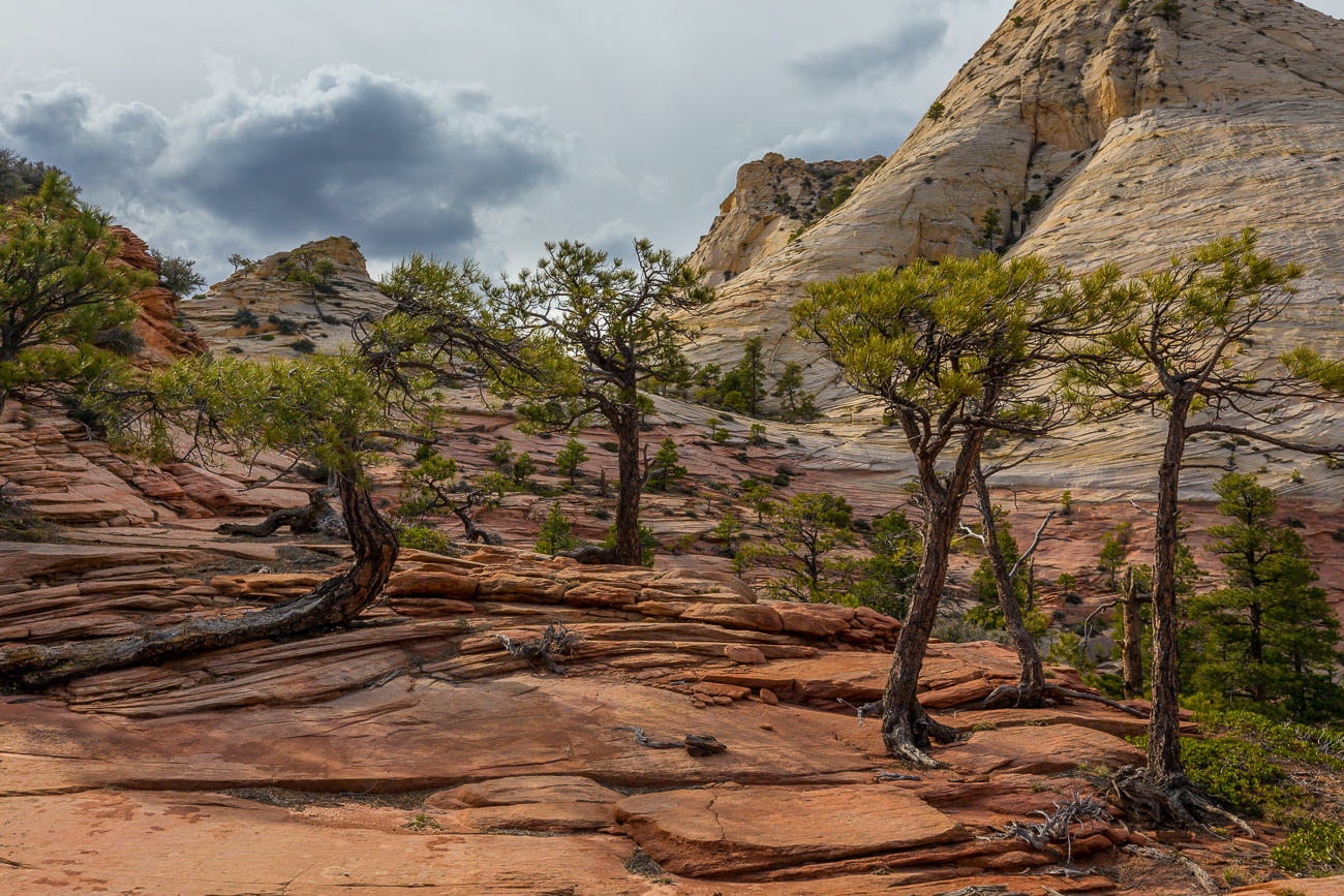 Wilderness Hiking, Zion, Kolob Terrace, Southern Utah, Desert, American Southwest, Pristine Sandstone, Canyons, Redrock, United States, Secret Places