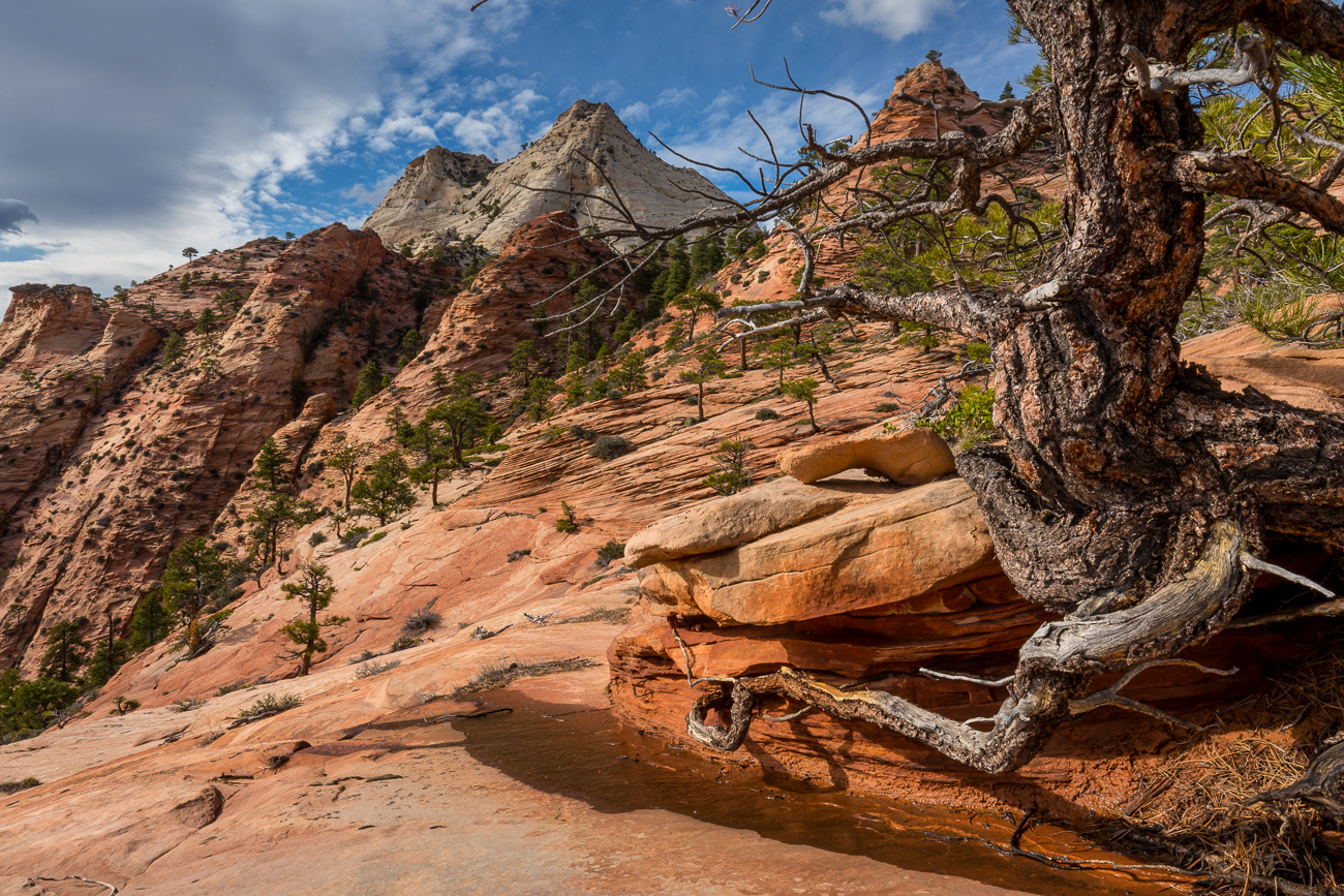 Wilderness Hiking, Zion, Kolob Terrace, Southern Utah, Desert, American Southwest, Pristine Sandstone, Canyons, Redrock, United States, Secret Places