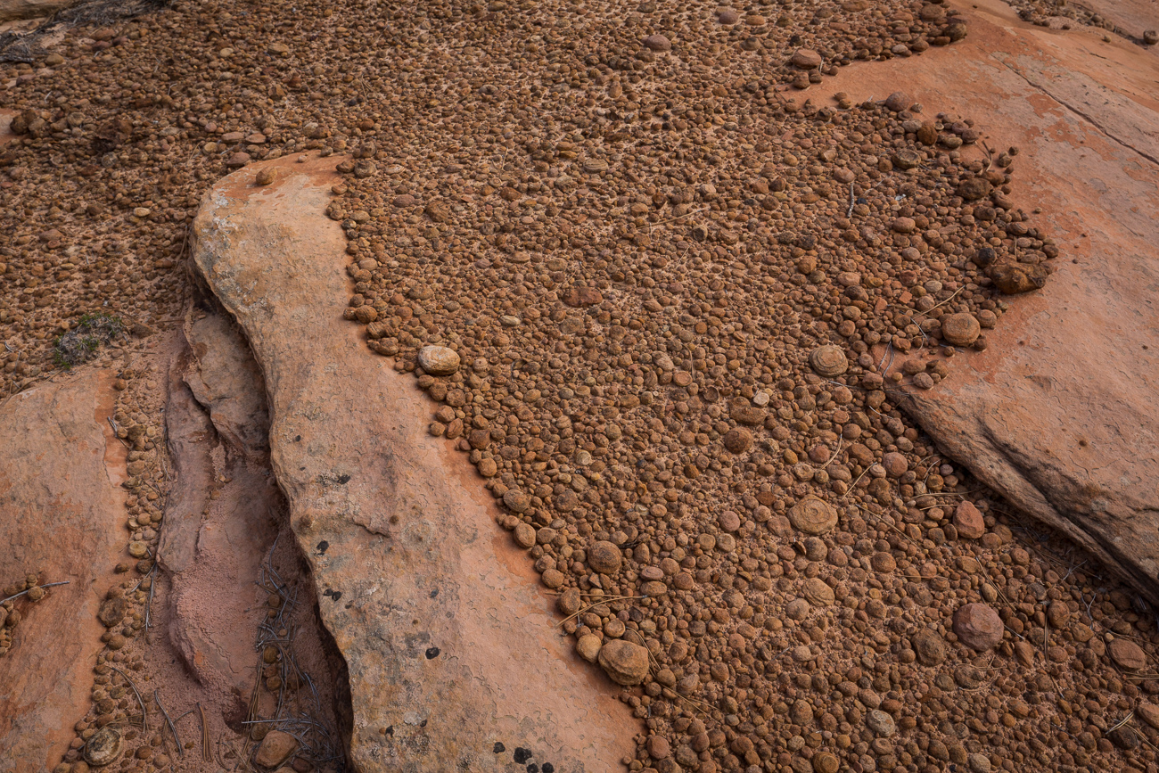 Wilderness Hiking, Zion, Kolob Terrace, Southern Utah, Desert, American Southwest, Pristine Sandstone, Canyons, Redrock, United States, Secret Places