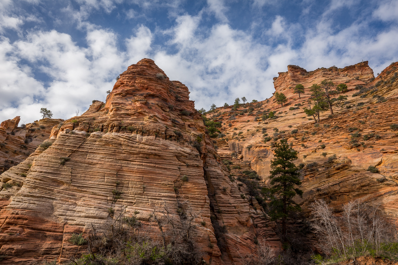 Wilderness Hiking, Zion, Kolob Terrace, Southern Utah, Desert, American Southwest, Pristine Sandstone, Canyons, Redrock, United States, Secret Places