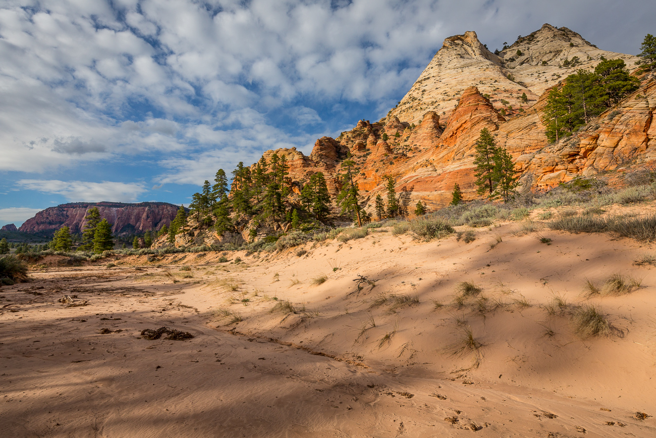 Wilderness Hiking, Zion, Kolob Terrace, Southern Utah, Desert, American Southwest, Pristine Sandstone, Canyons, Redrock, United States, Secret Places