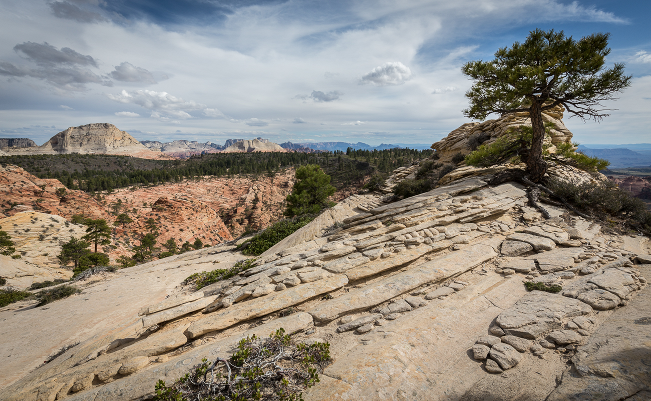 Wilderness Hiking, Zion, Kolob Terrace, Southern Utah, Desert, American Southwest, Pristine Sandstone, Canyons, Redrock, United States, Secret Places
