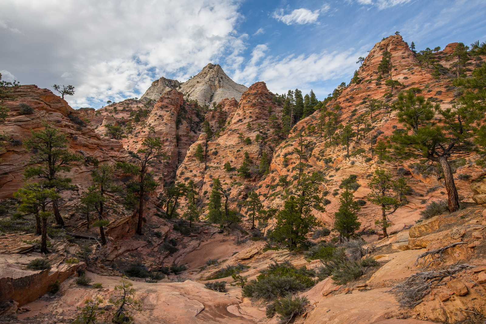 Wilderness Hiking, Zion, Kolob Terrace, Southern Utah, Desert, American Southwest, Pristine Sandstone, Canyons, Redrock, United States, Secret Places