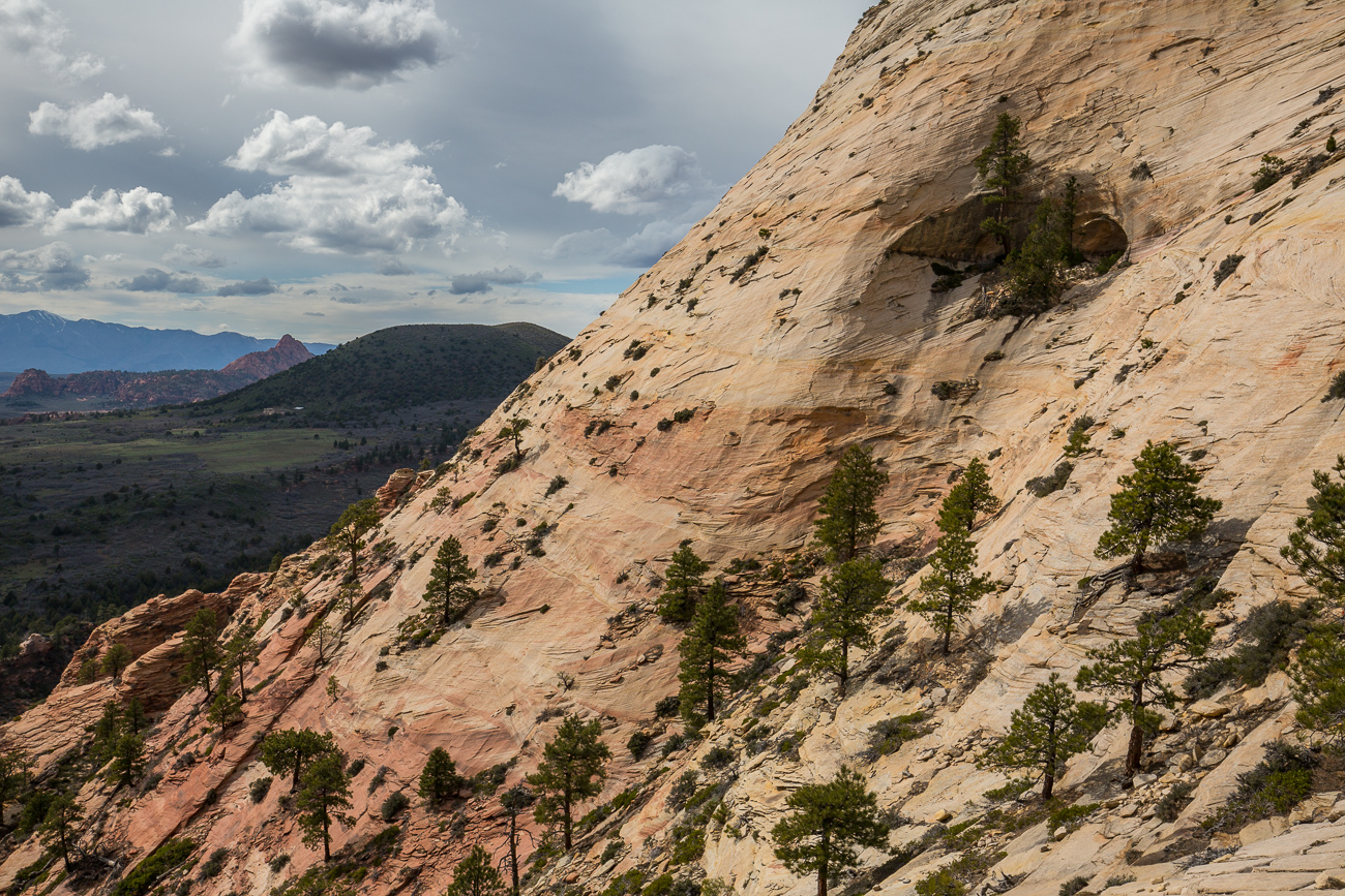 Wilderness Hiking, Zion, Kolob Terrace, Southern Utah, Desert, American Southwest, Pristine Sandstone, Canyons, Redrock, United States, Secret Places