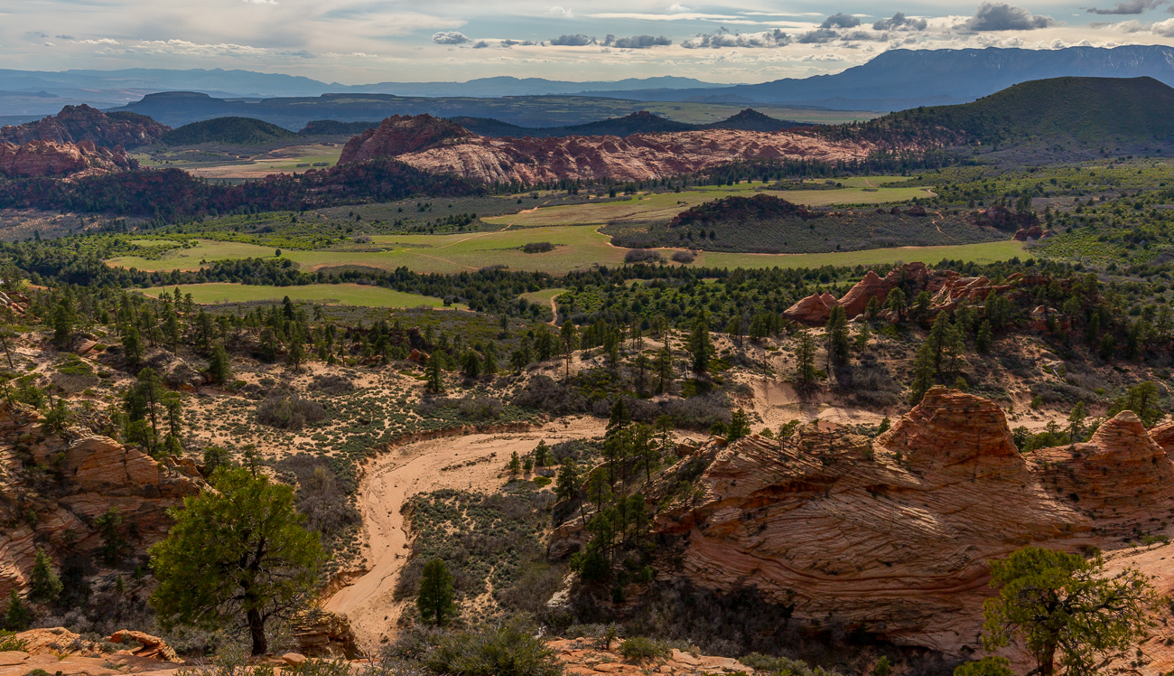 Wilderness Hiking, Zion, Kolob Terrace, Southern Utah, Desert, American Southwest, Pristine Sandstone, Canyons, Redrock, United States, Secret Places